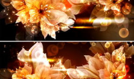 花视频,捕捉瞬间之美，感受生命律动